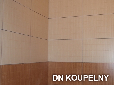 1-133-rekonstrukce-koupelny-1