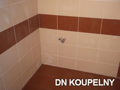 1-147-rekonstrukce-koupelny-1-small.jpg