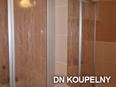 1-188-rekonstrukce-koupelny-1-small.jpg