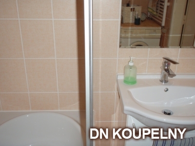 1-66-rekonstrukce-koupelny-1-small.jpg