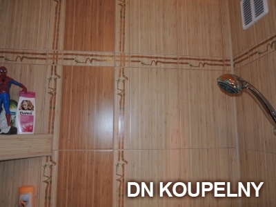 17-533-promena-panelakove-koupelny-ostrava-privoz