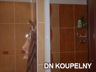 4-270-rekonstrukce-koupelny-havirov