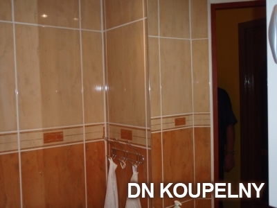 4-280-rekonstrukce-koupelny-havirov