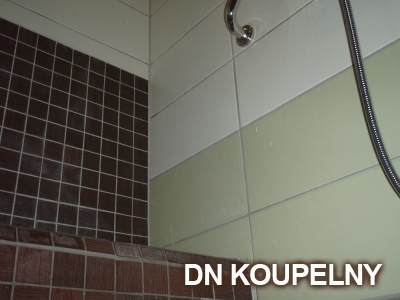 47-710-sedacka-do-sprchy-v-panelakove-koupelne-ostrava