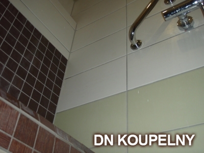 47-711-sedacka-do-sprchy-v-panelakove-koupelne-ostrava