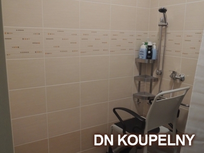 58-787-bezbarierova-koupelna-pro-vozickare-ostrava-small.jpg