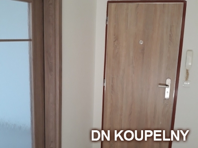 64-880-dvere-do-bytu-komplexni-rekonstrukce-bytu-ostrava