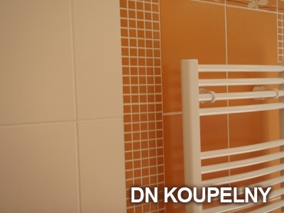 1-165-rekonstrukce-koupelny-1-small.jpg