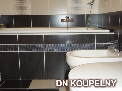 1-192-rekonstrukce-koupelny-1-small.jpg