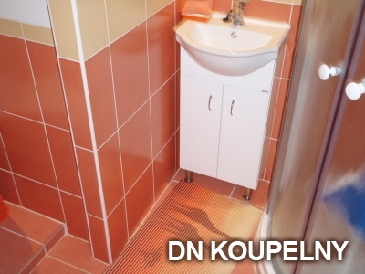 1-46-rekonstrukce-koupelny-1-small.jpg